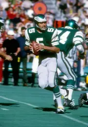 Quarterback Roman Gabriel Philadelphia Eagles drops back to pass - 1974 Photo 15