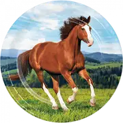 Melbourne Cup Horse and Pony Dinner Plates Paper 8 Pack