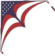 Mint's Colorful Life Delta Kite for Kids & Adults, Extremely Easy to Fly Kite, Best Kite for Beginner