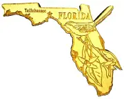 Florida Laser Etched Wood Fridge Magnet