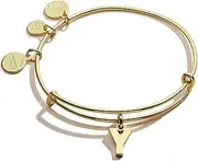 [Alex and Ani] Initial Y III Bangle Bracelet