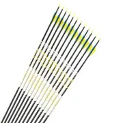 12pcs Archery Carbon Arrows Spine ID 4.2mm 1.75"Plastic Target Point Recurve Bow