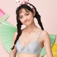 在飛比找momo購物網優惠-【BeenTeen 嬪婷】FTC系列北歐麋鹿 B-C 罩杯內