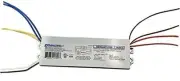 Robertson 3P20132 Fluorescent eBallast for 2 F40T12 Linear Lamps, Preheat-