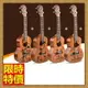 烏克麗麗ukulele-26吋沙比利合板可愛圖案夏威夷吉他四弦琴弦樂器4款69x20【獨家進口】【米蘭精品】