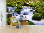 3D River Grass ZHUA13 Wallpaper Wall Murals Removable Self-adhesive Zoe