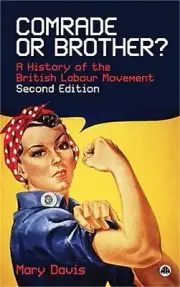 Comrade or Brother?: A History of the British Labour Movement (Paperback or Soft