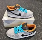 Size 10 - Nike Dunk Pro SB Low “Electric Pack” DS