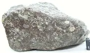 NEA 018 LL3 Primitive Chondrite Meteorite Rare, Type 3 Meteorite 691 Gram