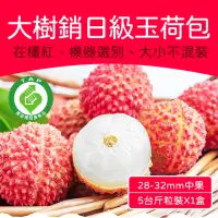 在飛比找momo購物網優惠-【農頭家】大樹28-32mm玉荷包5斤x1盒(銷日級_冷藏粒