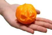 Halloween Jack-o-lantern Death Whistle | Sounds like a Loud Screaming Undead