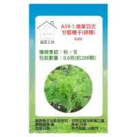 在飛比找momo購物網優惠-【蔬菜工坊】A59-1.捲葉羽衣甘藍種子(綠舞)