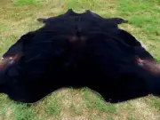 8X7 ! HUGE !! BLACK SOLID Cowhide Rug natural HAIR ON Cow Hide Skin bp