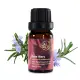 Amour 迷迭香精油 Rosemary 10ml