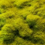 450ml Static Spring Grass 5mm Flock Light Green for Model Terrain & Diorama