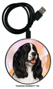 Springer Spaniel Zoomies Phone and Device Charger