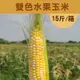 【遇米甜】產銷履歷-雙色(黃白)水果玉米 (15斤/箱)