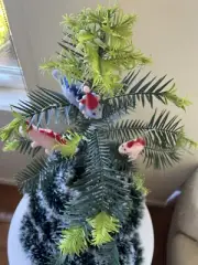 Wollemi Pine Christmas Tree Living Fossil
