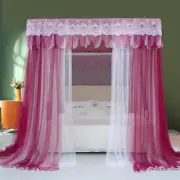Anti-mosquito Stainless Steel Paint Bracket Mosquito Net 2 Layers Bed Curtain