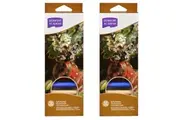 2x 12pc Derwent Academy Assorted Colour Soft Pastels Crayon Colouring Painting
