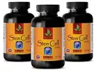 STEM CELL 500mg - Blue Green Algae Vegan Antioxidant Beta-carotene - 3B