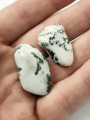 Tumbled Tree Agate Crystal Specimen Lot Of 2 - 13g