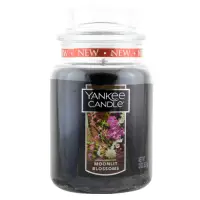 在飛比找Yahoo奇摩購物中心優惠-YANKEE CANDLE 香氛蠟燭-月光綻放 623g