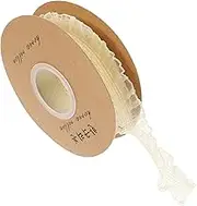 Angoily 1 Roll Lace Trim Ribbon Stretch Lace for Clothing DIY Crafts Decoration Workmanship for Skirts Flowers Handmade Items Soft Light