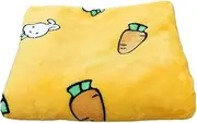 PET Blanket Thick Soft Warm Double Sided Plush Sleep Blanket for Small Medium Dogs Cats