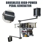 12/24V 2000W 220V AC Brushless High-Power Pedal Generator DC Battery Charging