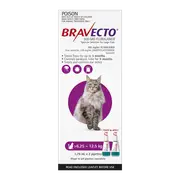 Bravecto Cat Spot On 500G Purple >6.25-12.5Kg