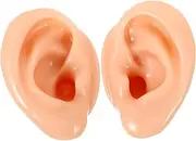 NOLITOY Sets Education Tool Ear Models Realistic Design Earring Display Props for Training Pcs