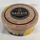 NEW Radiate Portable Campfire 8" Original Go Anywhere Reusable Travel Fire Pit