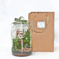 在飛比找蝦皮商城優惠-【原生態NatureWorld】特大植物生態瓶DIY材料包+