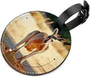 [YTYVAGT] Luggage Tag,Luggage Tags for Suitcases,Travel Tags for Luggage,2-Pc,Animal Portrait Kangaroo