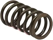 Briggs & Stratton 845589 Valve Spring