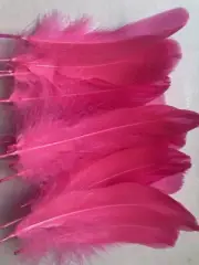 Pink Color Goose Feathers 20Pcs 5-7 Inch Bulk Feathers for Cr
