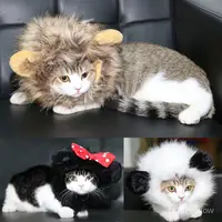 在飛比找蝦皮購物優惠-【唄格寵物店】寵物貓咪假髮 搞笑貓獅子頭套 寵物可愛搞怪裝飾