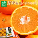 【WANG 蔬果】日本空運唐津蜜柑1KGX1盒(12-15入/盒_原裝盒)