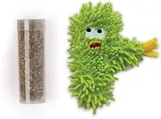 Kazoo Scruffy Cactus Cat Toy