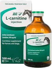 CEVA L-CARNITINE 100ML