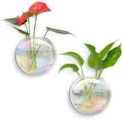Wall Hanging Glass Planters Oblate Globe Propagation Station 2 Pack Iridescent