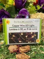 String Lights Fairy Garden 12 LED Copper Wire Warm Lights
