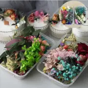 Real Dried Flowers Jewellery For DIY Making Pendant Art Epoxy Resin Craft 1Box