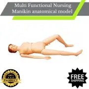 Multi Functional Nursing Manikin anatomical model