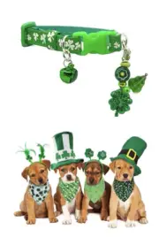 St. Patrick’s Day Collar for Cats & Dogs Collar de San Patricio Perros y gatos