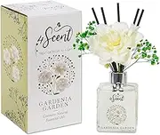 Reed Diffuser Set 6.7 fl oz with Preserved Gypsophila (Baby's Breath) and Artificial Gardenia for Home Fragrance and Decor | Aromatherapy with Essential Oil and Rattan Sticks | Gardenia Garden