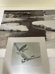 Premier Limited Edition Prints-Mill Pond Canada Geese-Robert Bateman