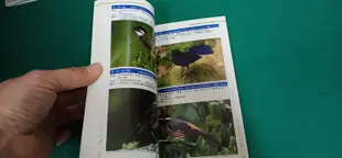 《台灣常見100種鳥類》台北市野鳥學會9579875146 無劃記 63J