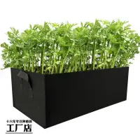 在飛比找蝦皮購物優惠-【滿199出貨】 #種菜專用箱 #種植袋 特大陽臺種菜神器家